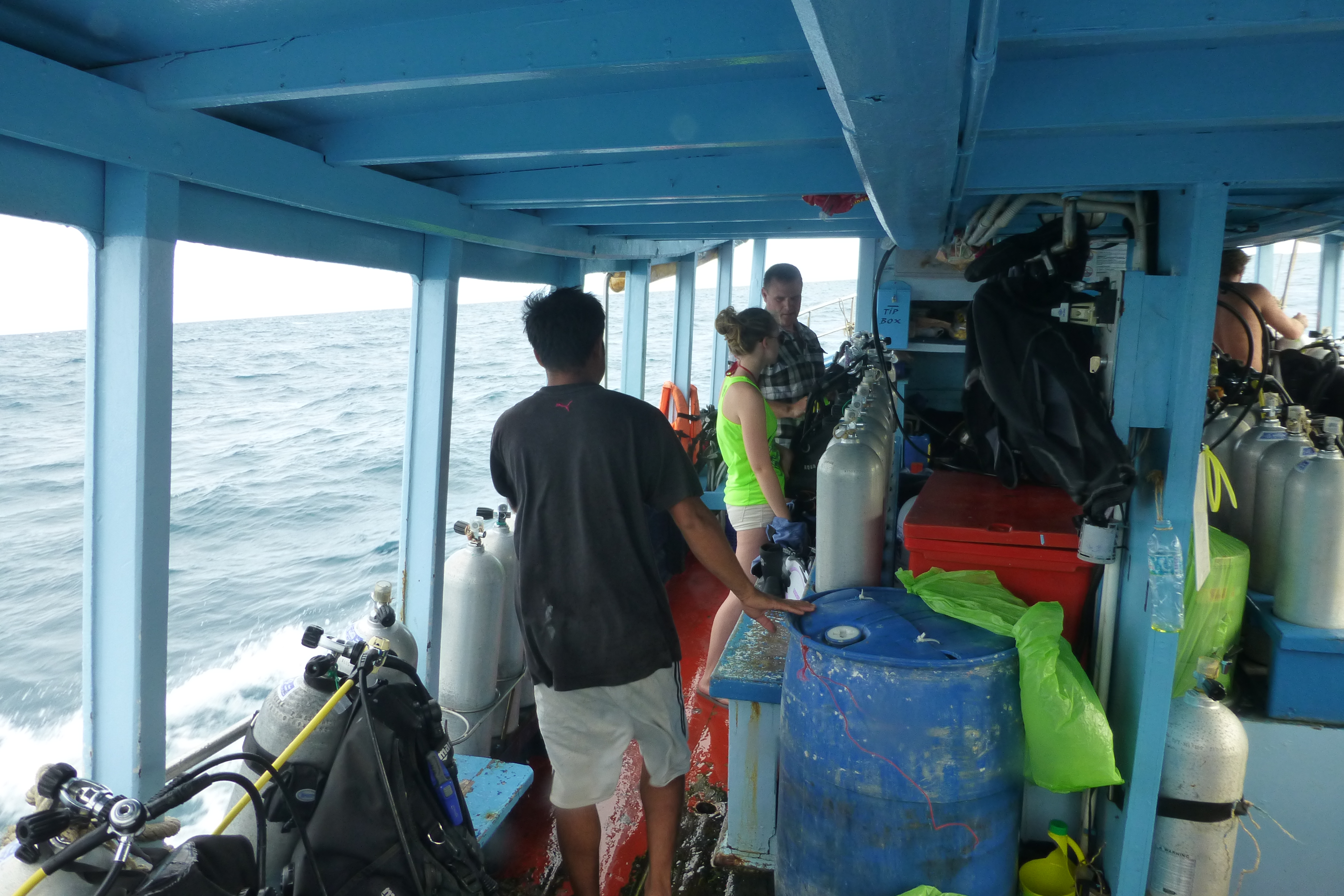 Koh Tao diving scene